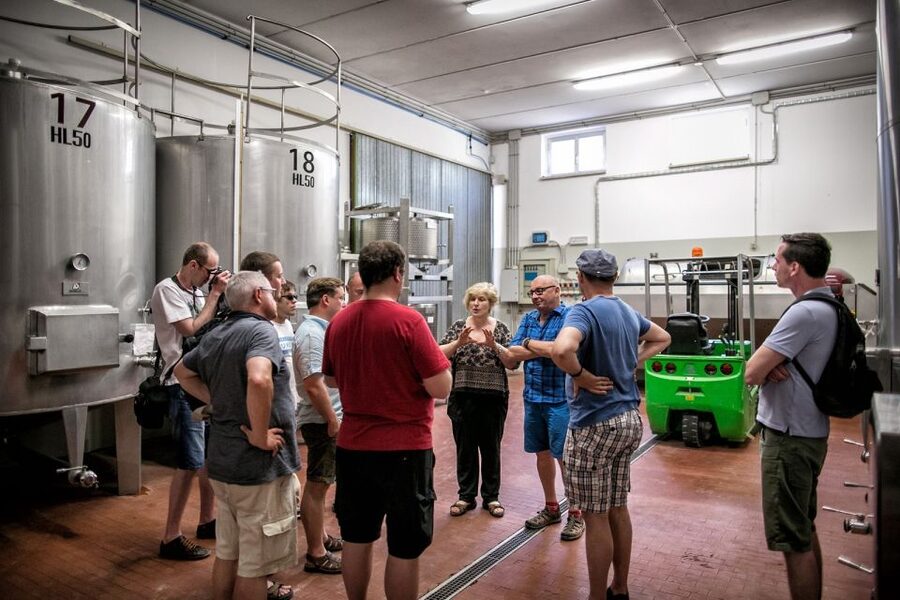 Assisi: Organic Winery Tour with Tastings & Typical Food - Practical tips for a better visit