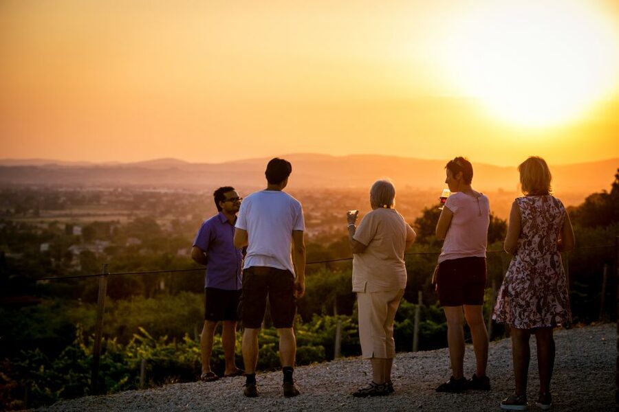 Assisi: Organic Winery Tour with Tastings & Typical Food - A small organic winery on Mount Subasio