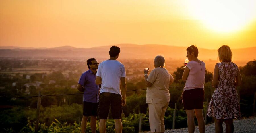 Assisi: Organic Winery Tour with Tastings & Typical Food - Five wines, not just a quick sample
