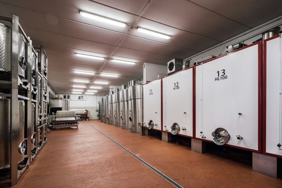 Assisi: Organic Winery Tour with Tastings & Typical Food - The food pairing is a major part of the value