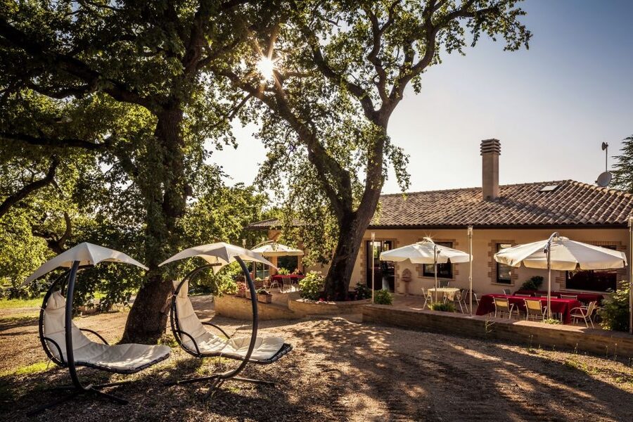 Assisi: Organic Winery Tour with Tastings & Typical Food - What makes the private format useful