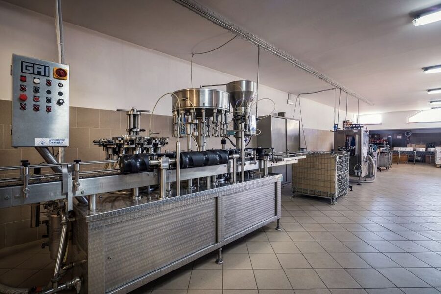 Assisi: Organic Winery Tour with Tastings & Typical Food - Following the wine from plant to bottle