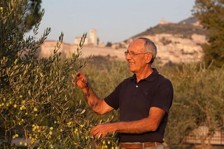 Assisi: Wine tasting, gourmet pairing, walk in the vineyards - The walk to the panoramic area