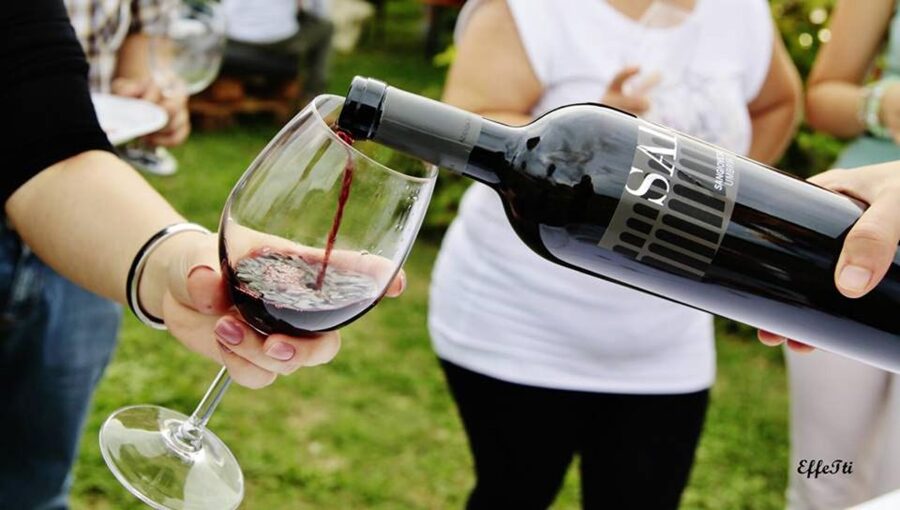Assisi: Wine tasting, gourmet pairing, walk in the vineyards - Should you book the Vineyard of Assisi tasting?