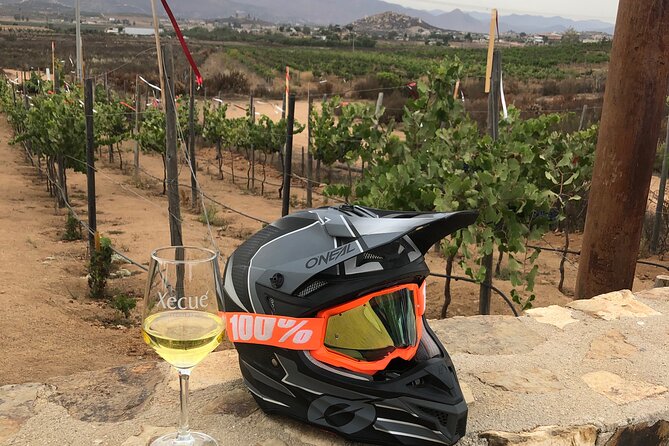 ATV Off-Road Adventure through Valle de Guadalupe + Winery Visit - The winery stop is the pleasant bonus, not the whole tour