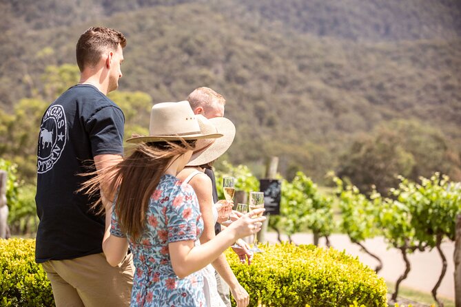 Audrey Wilkinson Vineyard: Picnic with Wine Masterclass Tasting - Choosing the bottle for your vineyard picnic