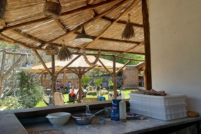 Authentic Farm Tour with Pizza, Cheese, Wine & Limoncello Tasting - Mozzarella and caciotta made before you
