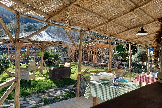 Authentic Farm Tour with Pizza, Cheese, Wine & Limoncello Tasting - Wine, olive oil and limoncello in their natural setting