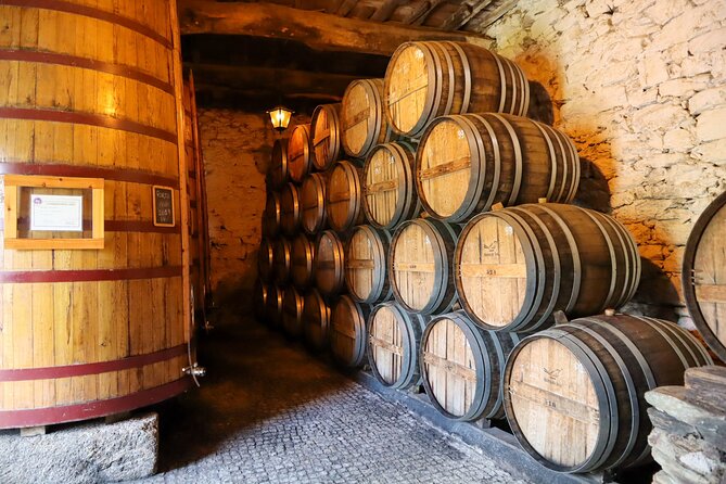 Authentic Small Group Douro Wine Tour with Lunch & River Cruise - A smaller second winery