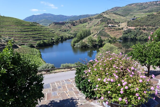 Authentic Small Group Douro Wine Tour with Lunch & River Cruise - The guide can make or break the drive