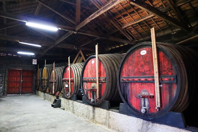 Authentic Small Group Douro Wine Tour with Lunch & River Cruise - Who should book this Douro experience?
