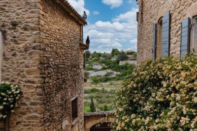 Full-Day Châteauneuf du Pape Wines & Luberon Tour