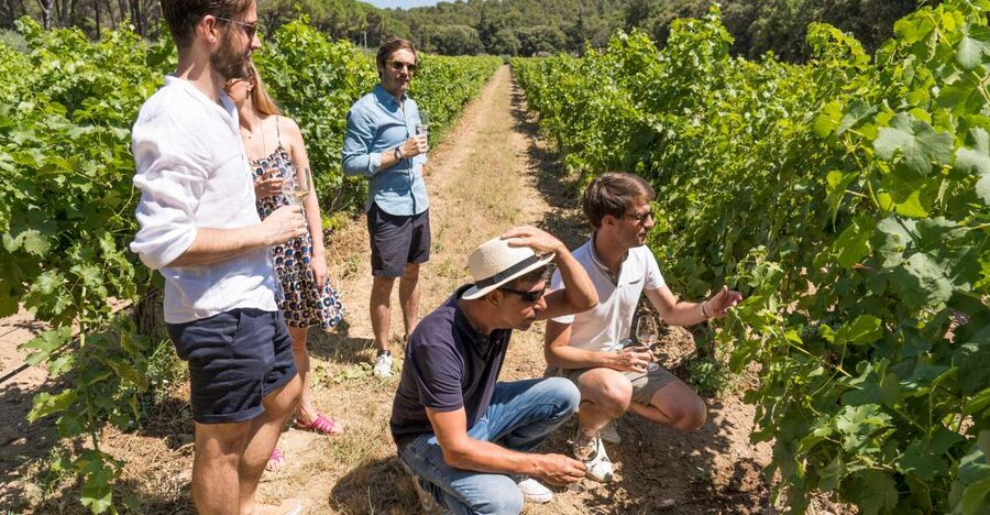 Avignon: Full-Day Châteauneuf du Pape Wines & Luberon Tour - A second cellar and a short Avignon pause