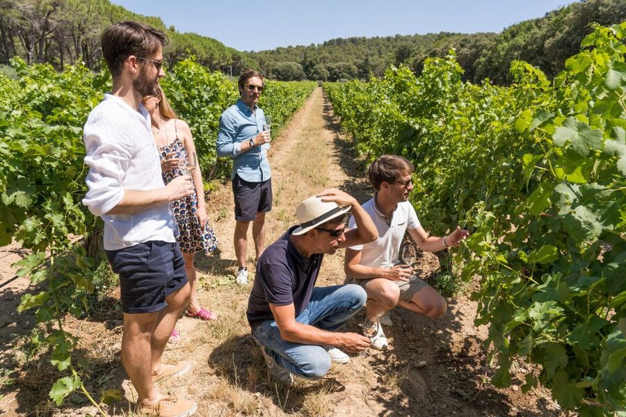 Avignon: Full-Day Châteauneuf du Pape Wines & Luberon Tour - Lacoste Castle and the Marquis de Sade connection
