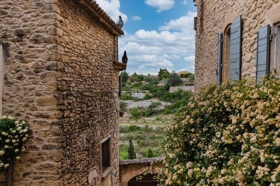 Avignon: Full-Day Châteauneuf du Pape Wines & Luberon Tour - Meeting in Avignon and settling into the van