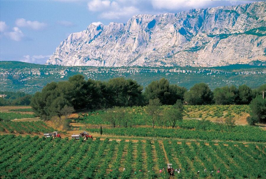 Avignon: Full-Day Wine Tour around Châteauneuf-du-Pape - A full day in the Rhône wine country