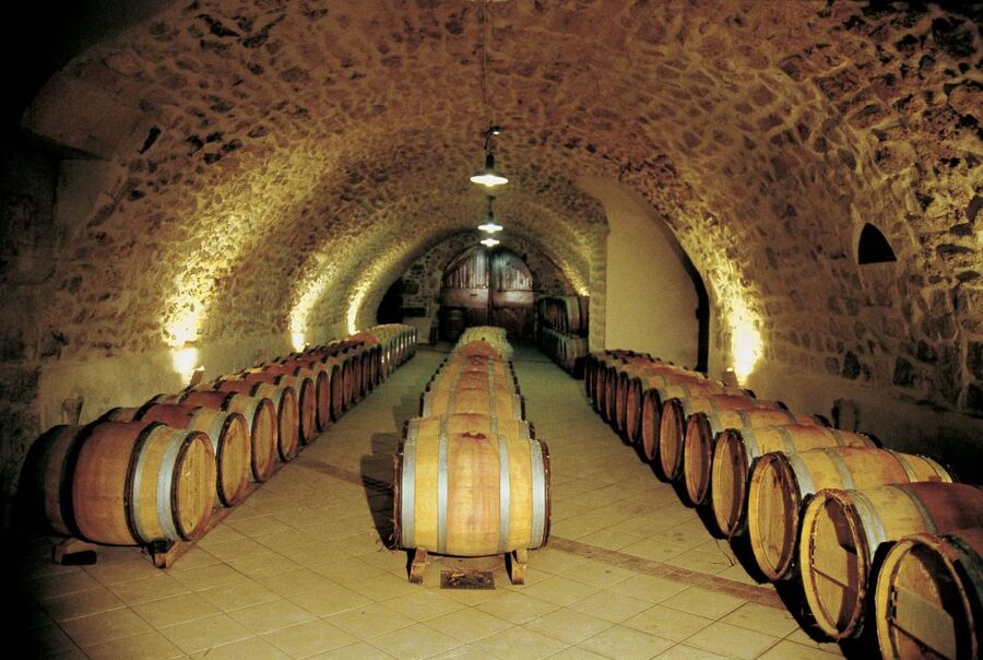 Avignon: Full-Day Wine Tour around Châteauneuf-du-Pape - Comparing three or four appellations