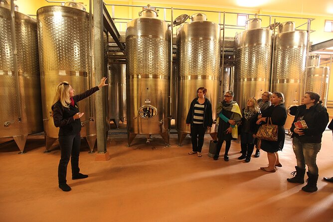 Award-Winning Hunter Valley Wine & Cheese Tour from Sydney - Leaving Sydney at 7:00 am