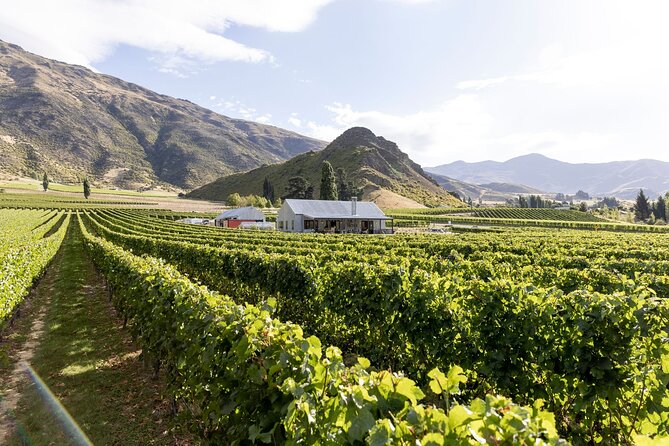 Award Winning Premium Wine Tour Queenstown Tasting at 4 Wineries - Why four wineries work better than one