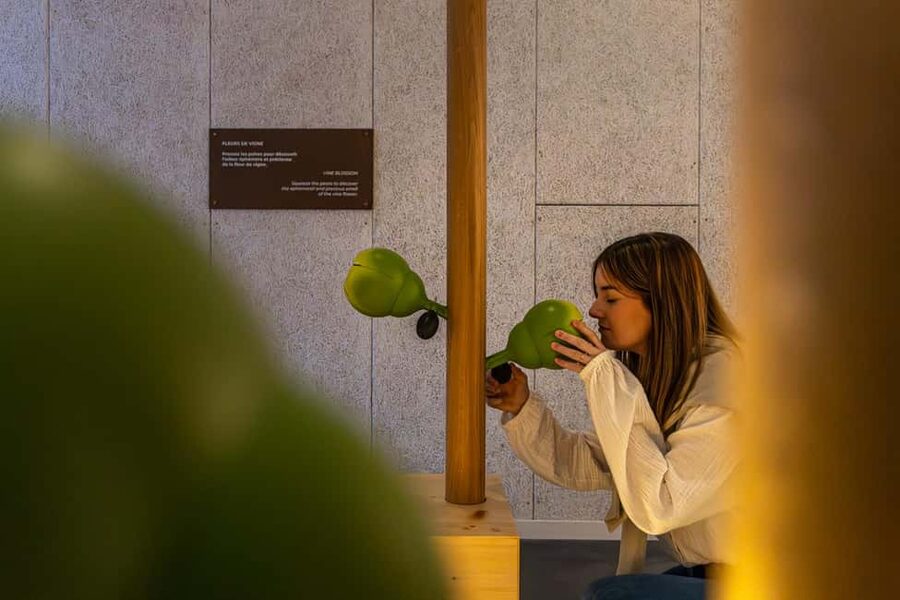 Aÿ-Champagne: Pressoria Champagne Museum with Tasting - Key points to know before you go