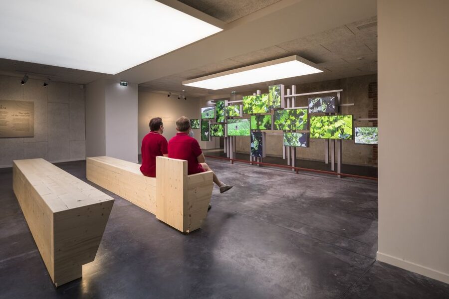 Aÿ-Champagne: Pressoria Champagne Museum with Tasting - Who will get the most from this visit