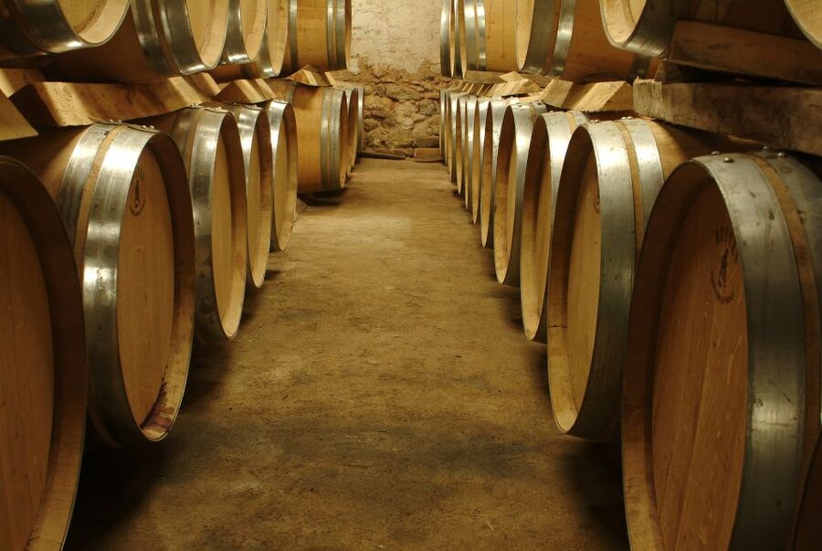 Bandol and Cassis: Full Day Wine Tour from Marseille - Why this Marseille wine day works