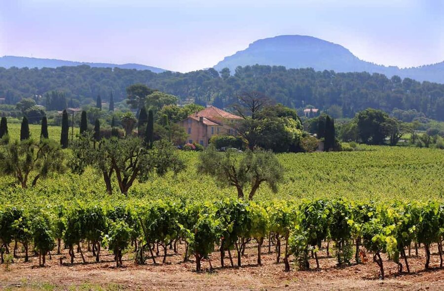 Bandol and Cassis: Full Day Wine Tour from Marseille - Meeting the minivan in central Marseille