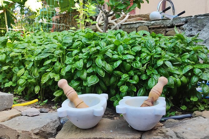 BarCa Winery Cinqueterre Trekking & Wine Tasting & Pesto Class - Timing the visit for the best atmosphere
