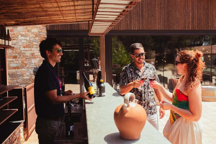 Barcelona: Full-Day Montserrat & Wine Small Group Tour - Key points to know before booking