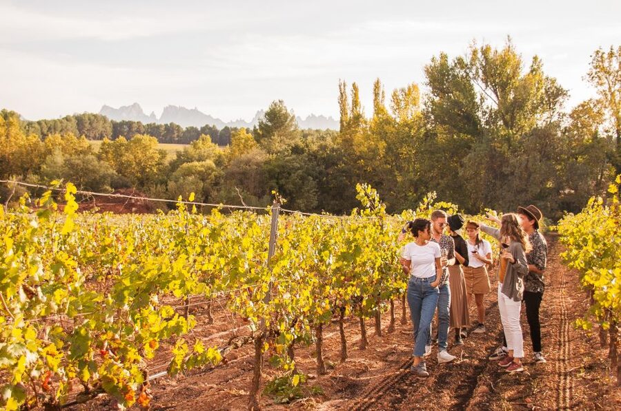 Barcelona: Full-Day Montserrat & Wine Small Group Tour - What lunch is really like