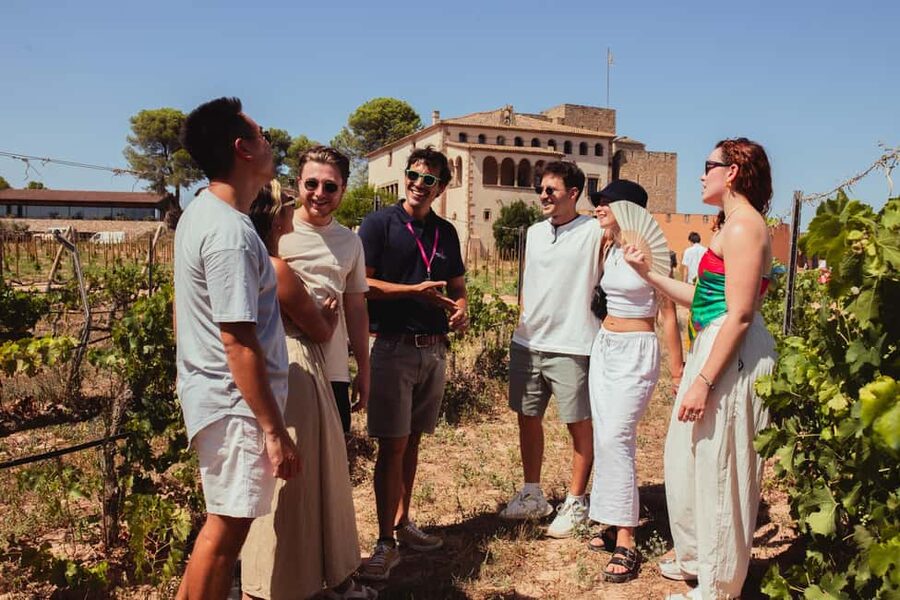 Barcelona: Full-Day Montserrat & Wine Small Group Tour - Who will enjoy this day most