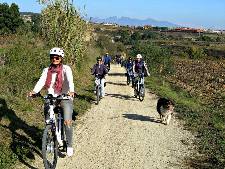Barcelona: Guided Half-Day Wine and Electric Bike Tour - Getting comfortable on the electric bike