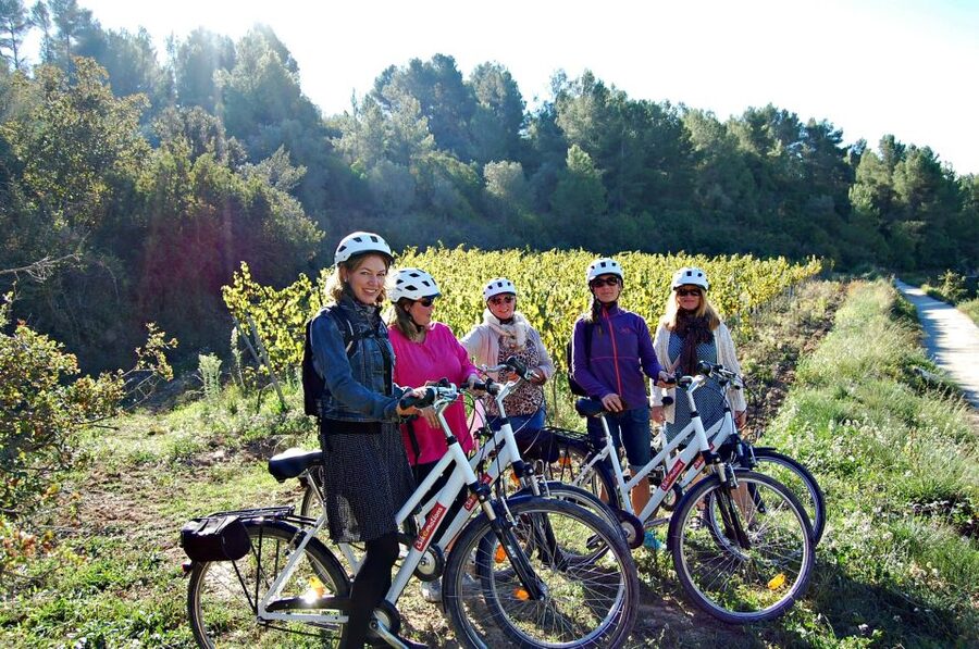 Barcelona: Guided Half-Day Wine and Electric Bike Tour - Inside the family-owned ecological winery