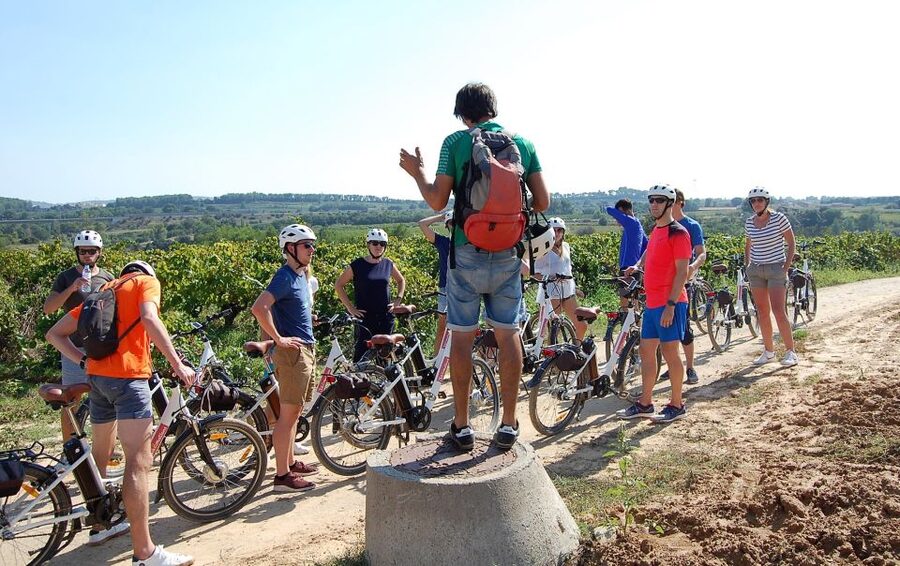 Barcelona: Guided Half-Day Wine and Electric Bike Tour - Three glasses of wine and cava