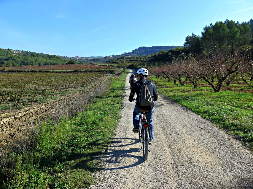 Barcelona: Guided Half-Day Wine and Electric Bike Tour - What the $101 price really covers