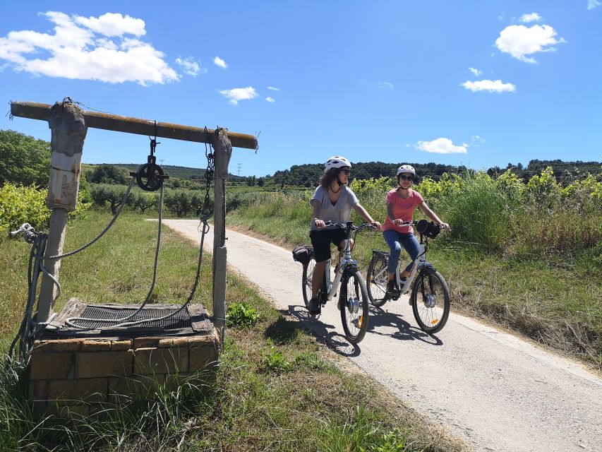 Barcelona: Guided Half-Day Wine and Electric Bike Tour - Timing the return and extending the ride