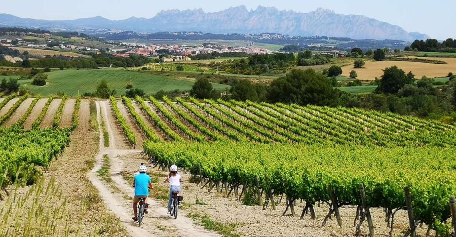 Barcelona: Guided Half-Day Wine and Electric Bike Tour - Meeting Albert or Colin at Lavern-Subirats