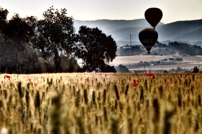 Barcelona: Montserrat Hot Air Balloon Ride with Champagne Toast - What happens after landing