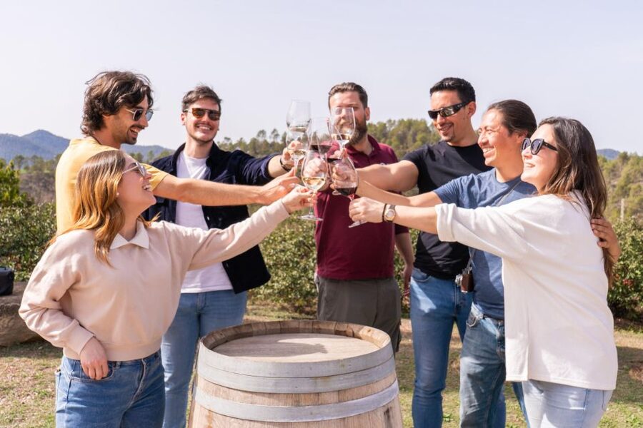 Barcelona: Montserrat, Winery Tour & Lunch with Wine Tasting - Why this Montserrat and wine pairing works