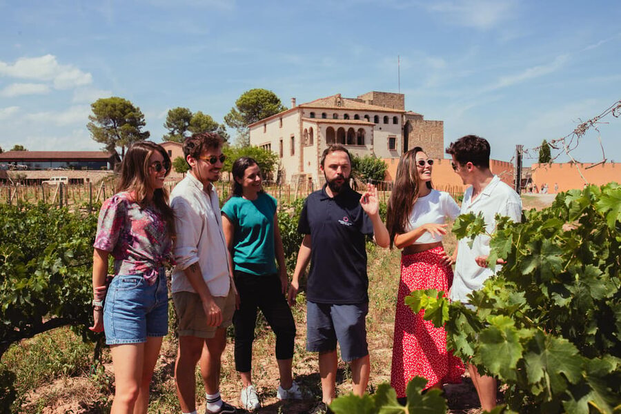Barcelona: Montserrat with Winery, Lunch, and Train Options - Should you book it?