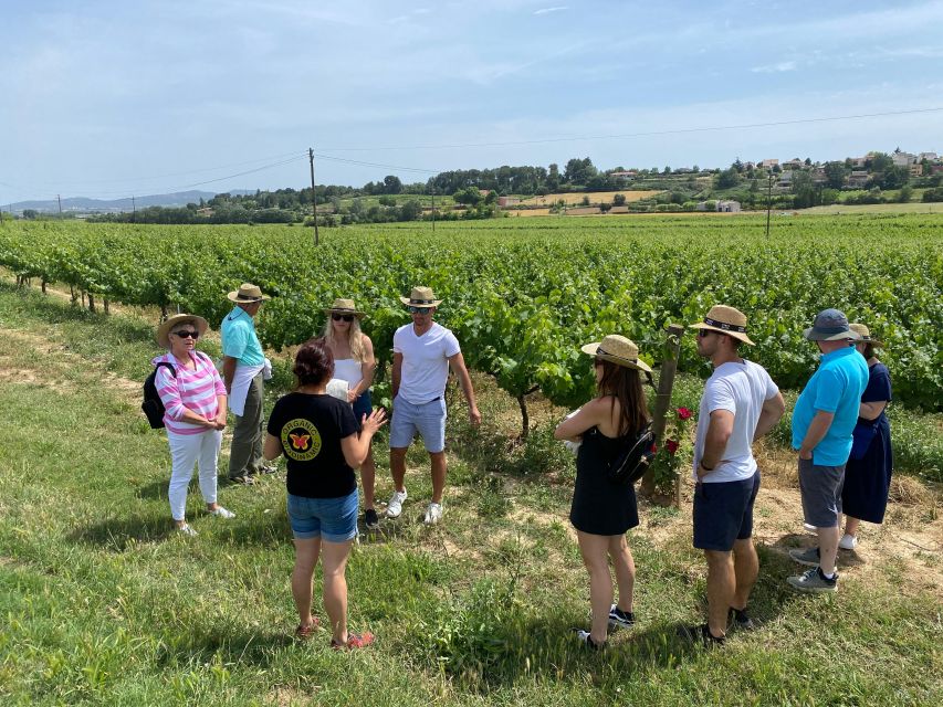 Barcelona: Montserrat with Winery Visit and Farmhouse Lunch - A farmhouse lunch among the Penedès vineyards