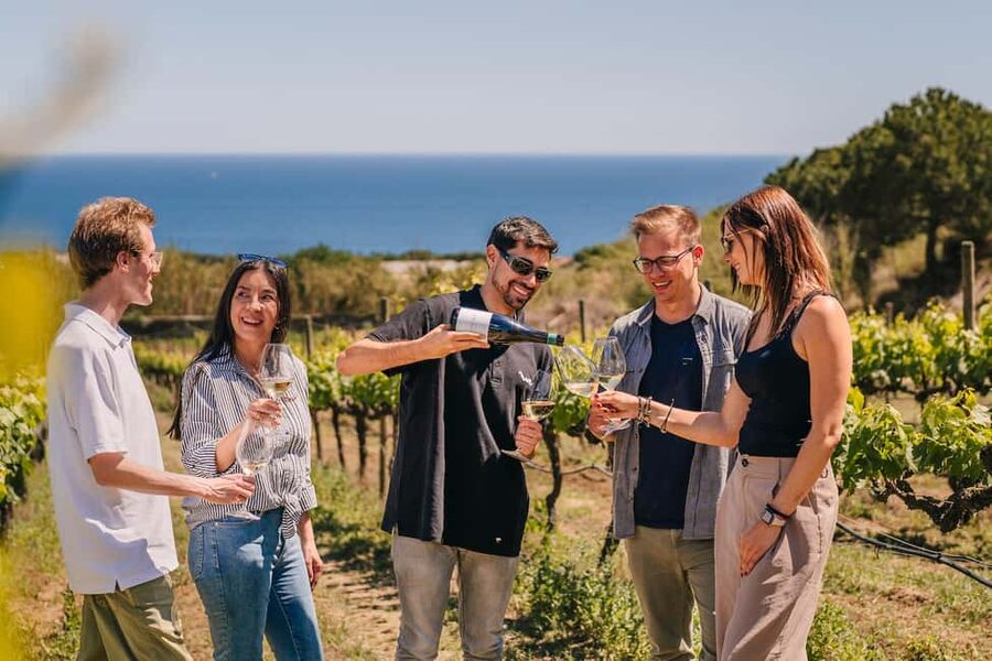 Barcelona: Sailing Cruise & Vineyard Tour with Wine Tasting - Why this Barcelona day trip works