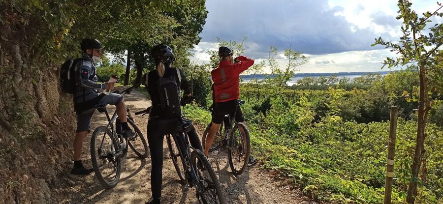 Bardolino: e-bike tour and wine tasting on the hills - Key points to know before you book