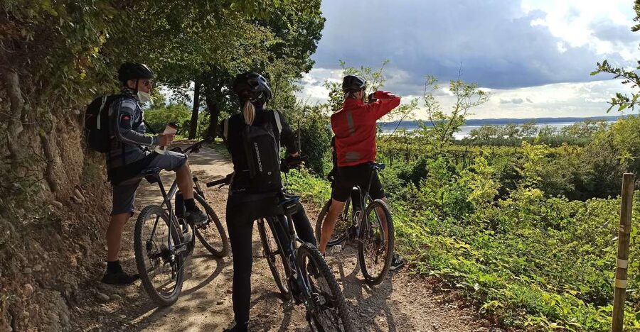 Bardolino: e-bike tour and wine tasting on the hills - Riding beyond Bardolino’s lakeside crowds