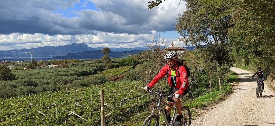 Bardolino: e-bike tour and wine tasting on the hills - Practical details that affect your morning