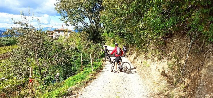 Bardolino: e-bike tour and wine tasting on the hills - From Bardolino to Cavaion Veronese