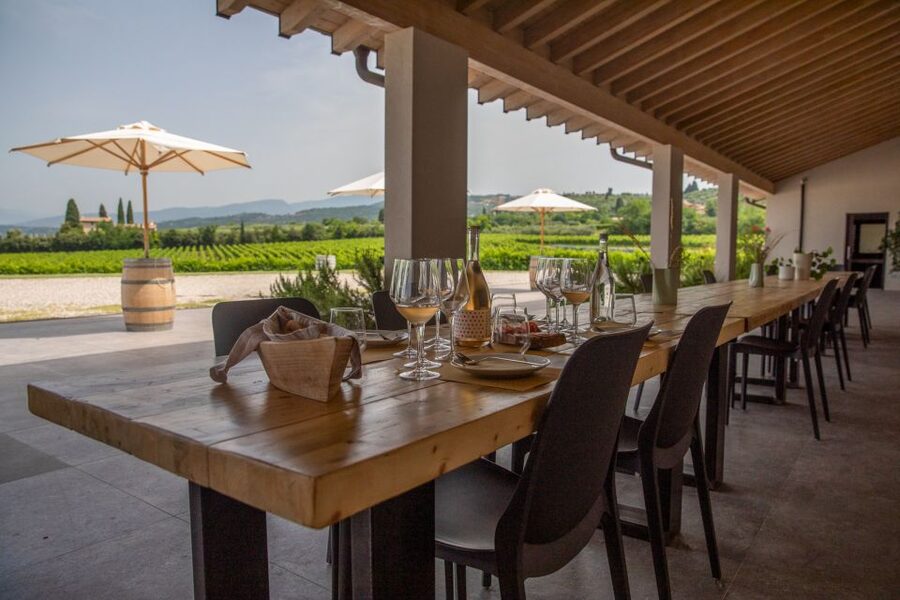 Bardolino: Vineyard Tour with Wine and Food Tasting - Four Bardolino wines at the tasting table