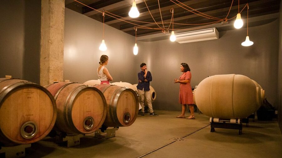 Bardolino: Vineyard Tour with Wine and Food Tasting - Reaching the winery from Cisano