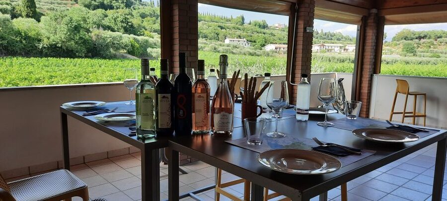 Bardolino: Vineyard Tour with Wine, Olive Oil & Food Tasting - A vineyard visit on the Rocca del Garda