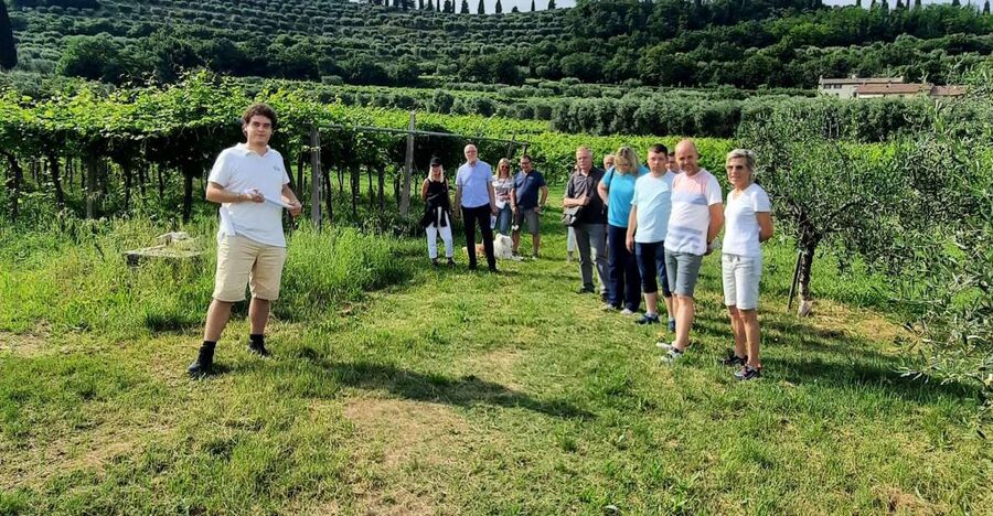 Bardolino: Vineyard Tour with Wine, Olive Oil & Food Tasting - Olive oil, cheese, and cold cuts on the terrace